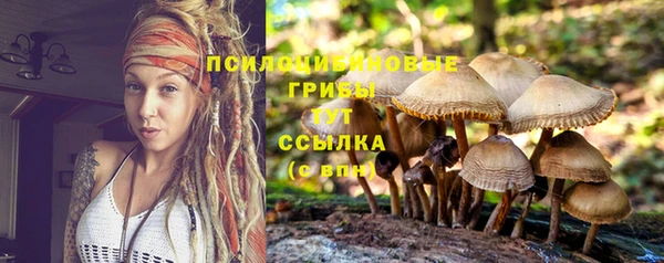 ешки Алексеевка