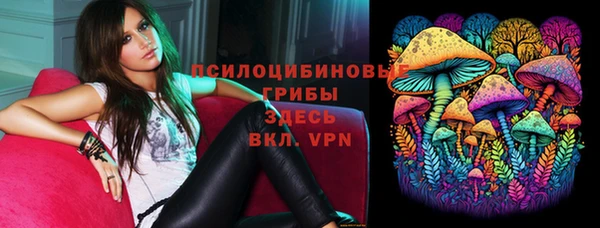 ешки Алексеевка